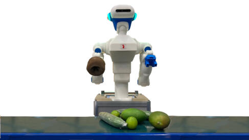 Robot over conveyer belt sorting vegtables