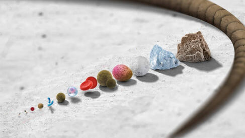 Different tiny objects arranged in size order on a beach